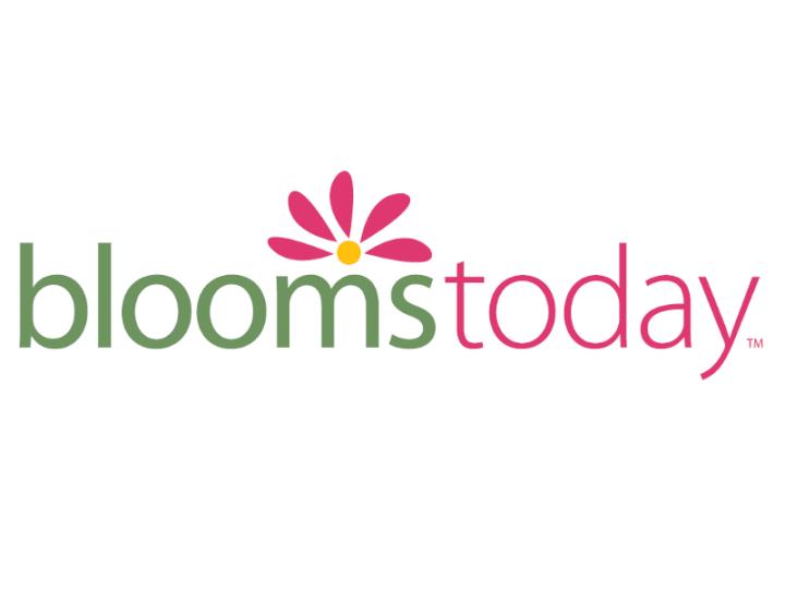 Blooms Today
